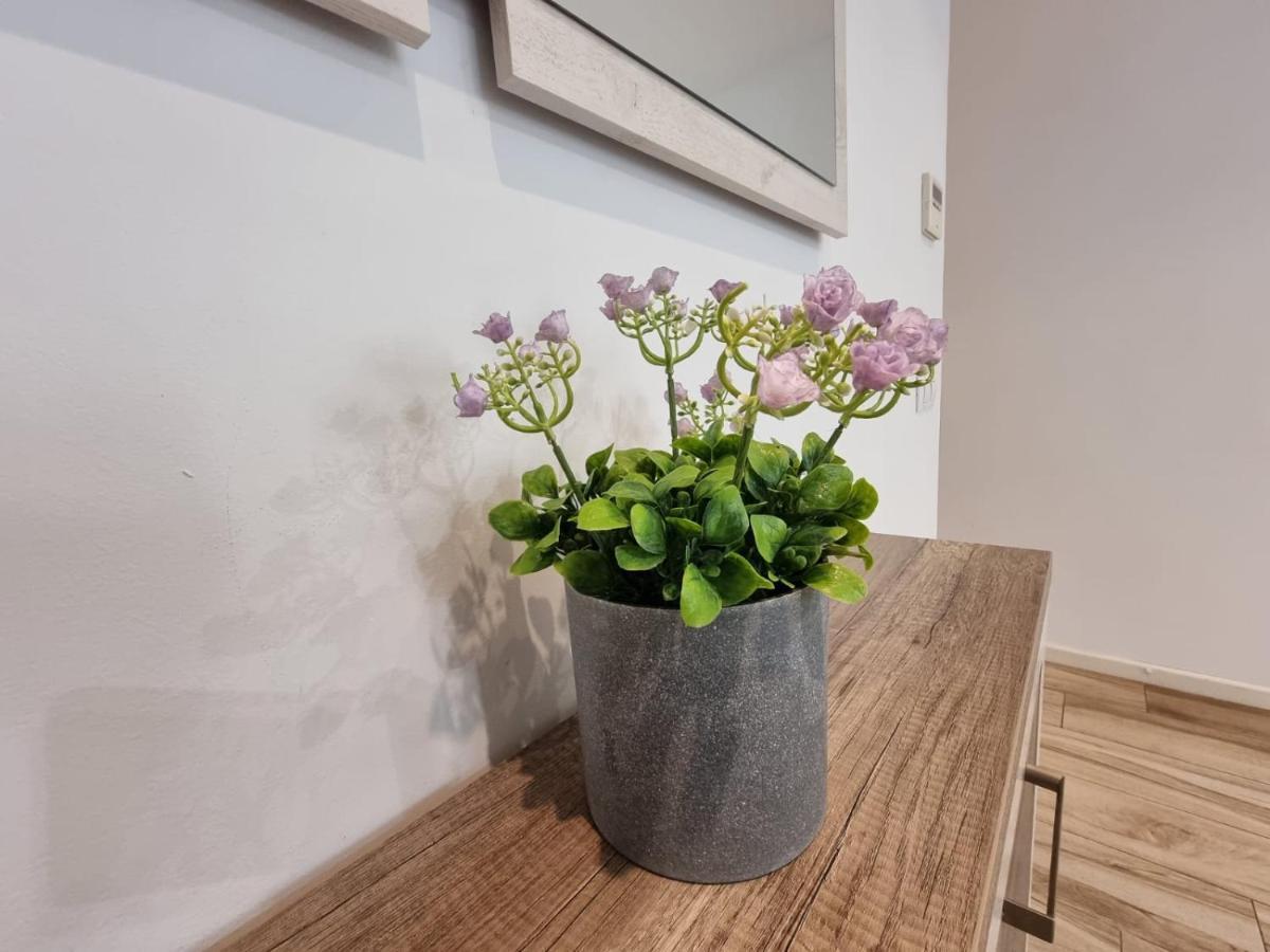 Apartamento Carolinas Suit Alicante Exterior foto
